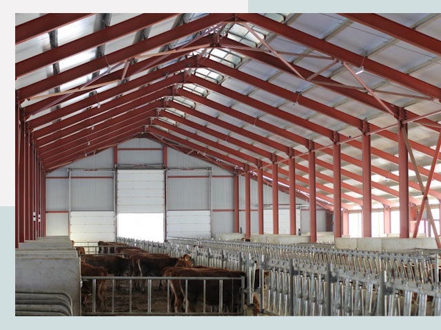 Строительство коровников в Сегеже