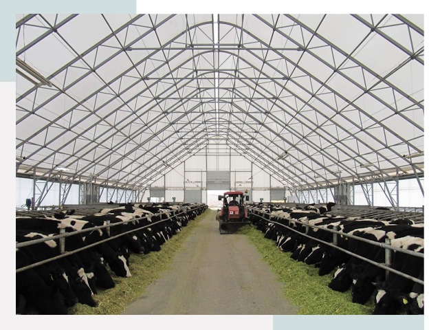 Тентовые коровники в Сегеже от 624 руб. - Надежно и доступно